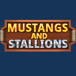 Mustang and Stallions