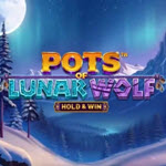 Pots of Lunar Wolf