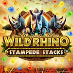 Wild Rhino Stampede Stacks