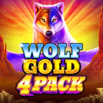 Wolf Gold 4 Pack