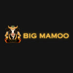 BigMamoo Partners