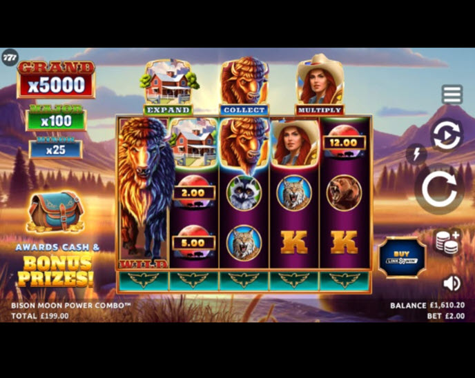 Bison Moon Power Combo