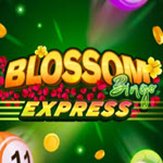 Blossom Bingo Express