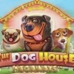 Ненавісць да слота The Dog House!