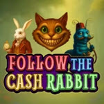 Follow the Cash Rabbit