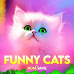 Funny Cats