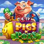 4TP Pigs N' Pots
