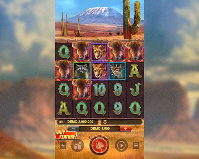 Buffalo Rush HIGHROLLER