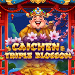 Caichen Triple Blossom