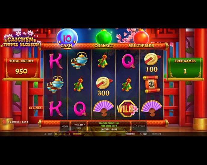 Caichen Triple Blossom