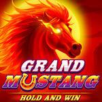 Grand Mustang