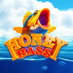 Honey Bass