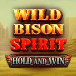 Wild Bison Spirit Hold And Win