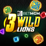 3 Wild Lions