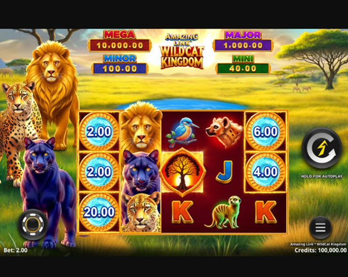 Amazing Link Wild Cat Kingdom