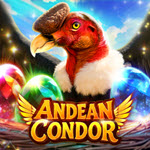 Andean Condor
