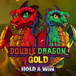 Double Dragon Gold: Hold & Win