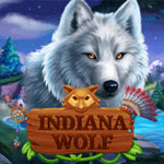 Indiana Wolf