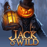 Jack O'Wild