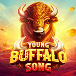 Young Buffalo Coins