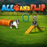Ace and Flip