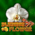 Burning Flower
