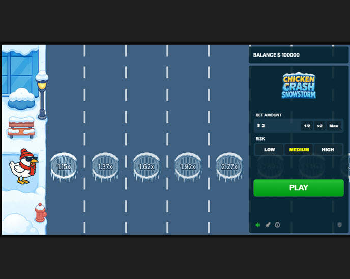 Chicken Crash Snowstorm