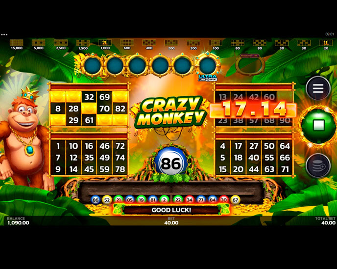 Crazy Monkey Ultra Link&Win