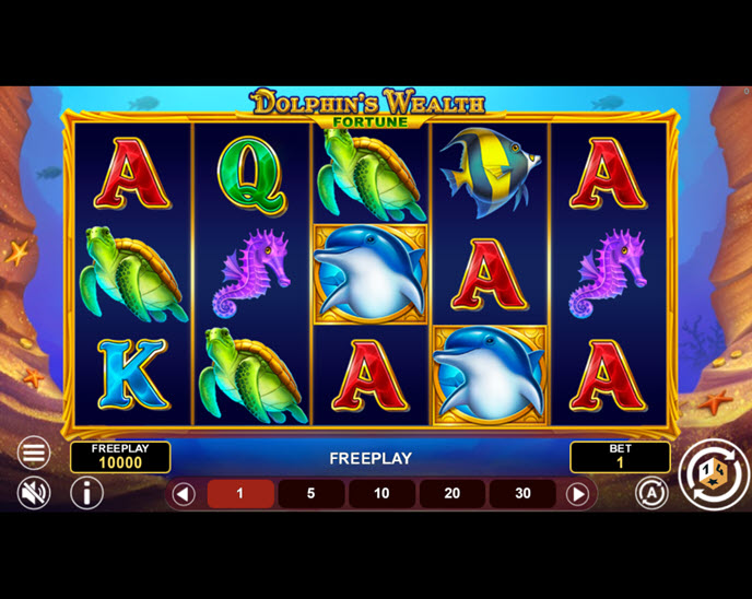 Dolphin's Wealth Fortune