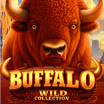 Buffalo Wild Collection