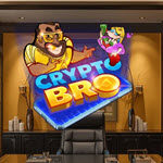 Crypto Bro