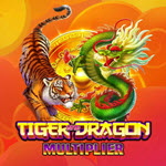 Tiger and Dragon Multiplier