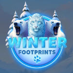 Winter Footprints