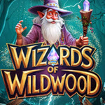 Wizards of Wild Wood