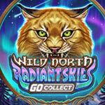 Wild North Radiant Skies