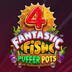 4 Fantastic Fish Puffer Pots