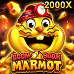 Boom Boom Marmot