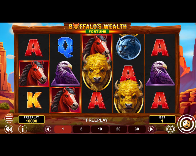 Buffalo’s Wealth Fortune