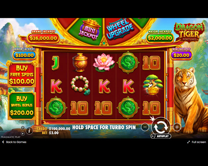 Dragon Tiger Fortunes