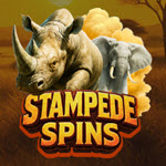 Stampede Spins