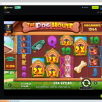 Занос у Dog house