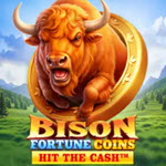 Bison Fortune Coins