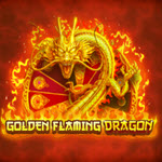 Golden Flaming Dragon