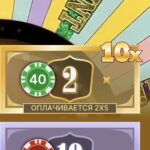 Стаўка, якая мяне вельмі выратавала
