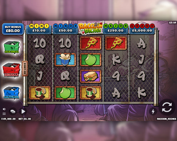 Raccoon Riches