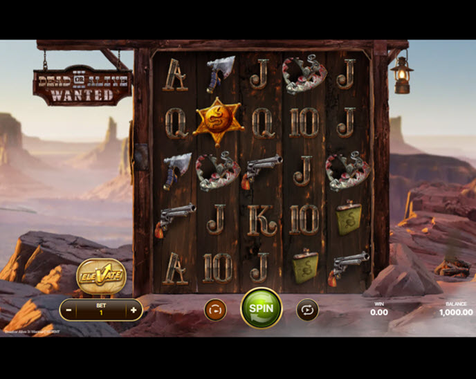 Dead or Alive 3 Wanted