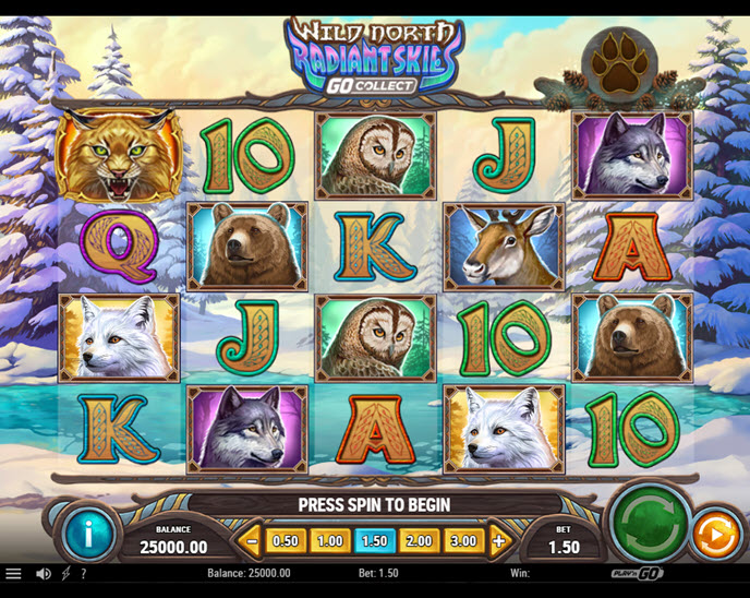 Wild North Radiant Skies