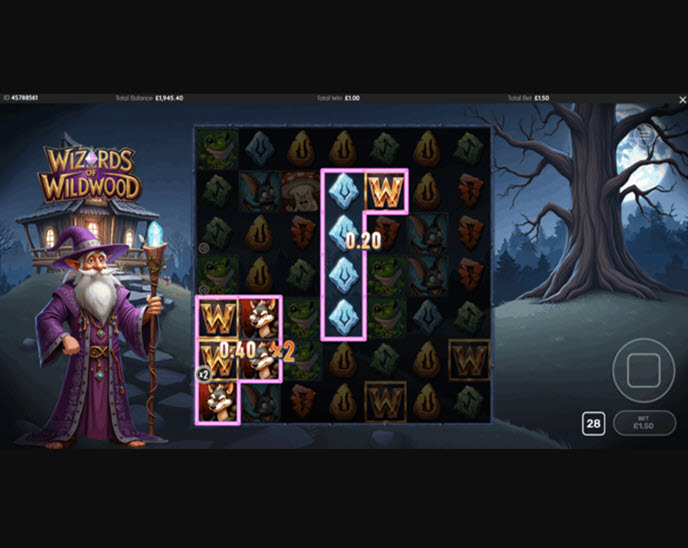 Wizards of Wild Wood