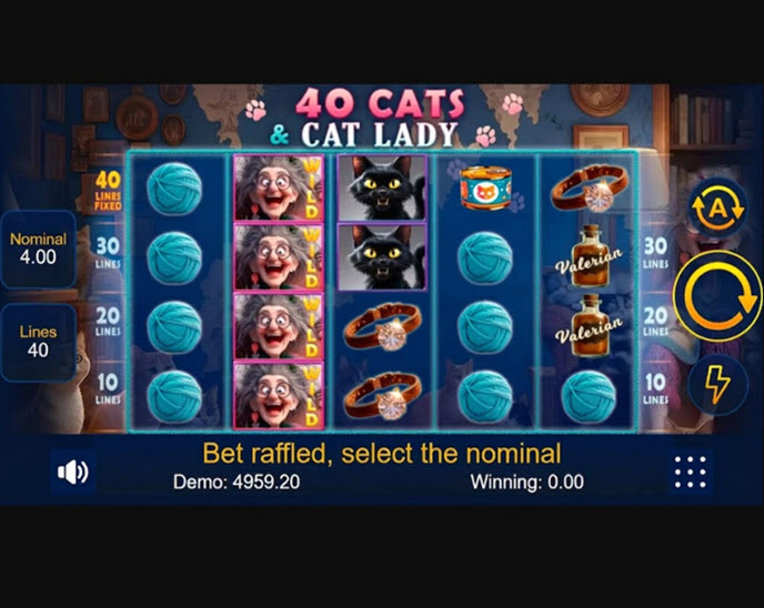 40 Cats And Cat Lady