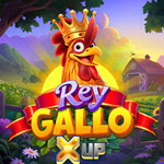 Rey Gallo X UP